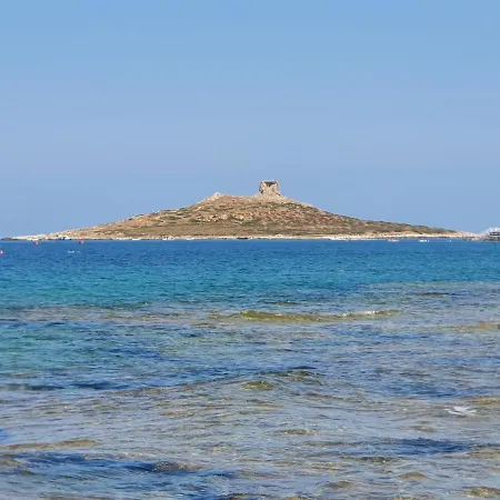 Villa La Dependance Delle Mimose Isola delle Femmine Exterior foto
